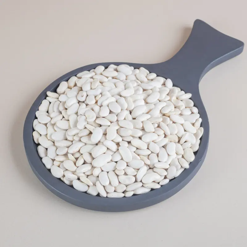 White Masterbatch Product Visualization